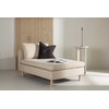 Sofa Venture Design Diivanė, Zero, 94x152 cm, Beždžionės