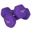 Songmics Hantelių rinkinys, 16x8x7.5 cm, violetinė