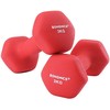 Songmics Hantelių rinkinys, 20x9x8.5 cm, raudona