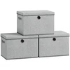 Songmics Daiktadėžės 43 x 30 x 30 cm 3 vnt.