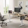 Songmics Elektrinis reguliuojamas rašomasis stalas 160 x 70 cm