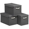 Songmics Sandėliavimo dėžių rinkinys 50x30x30 cm Pilka audinio