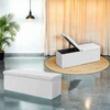 Songmics Pufas su daiktadėže, 110x38x38 cm, 300 kg talpa