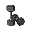 SONGMICS hantelių rinkinys, 2 vnt. hantelių rinkinys, šešiakampiai, trumpųjų hantelių rinkinys, 2 x 5kg, 2 x 10 kg, treniruotėms, fitneso treniruotėms, sunkiojo atletikos pratimams namuose, sporto salėje