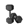 SONGMICS hantelių rinkinys, 2 vnt. hantelių rinkinys, šešiakampiai, trumpųjų hantelių rinkinys, 2 x 5kg, 2 x 10 kg, treniruotėms, fitneso treniruotėms, sunkiojo atletikos pratimams namuose, sporto salėje