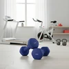 Songmics Svarmenys, 2,5kg, Juoda