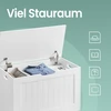 Songmics VASAGLE batų dėžė, suoliukas su saugojimo vieta, saugojimo spintelė
