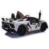 Toycars Vaikų akumuliatorinė mašina, Lamborghini Aventador, 2 asmenys