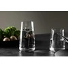 Venture Design Gertuvės, Shine, 2 vnt., Skaidrus