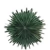 Venture Design Pendentinė lempa, Sälen, 60cm, žalia