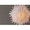 Venture Design Pendentinis žibintas, Sälen, 60 cm, Balta