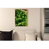 Venture Design Plakatas, žalias lapas, 70x100 cm, žalias