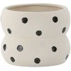 Venture Design Puodas, Dapne, 16x16x13 cm, Balta/Juodos Taškai