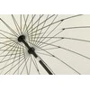 Venture Design Skėtis, Palmetto, 270 cm, Balta