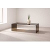 Venture Design Sofa staliukas Telemark 120x60x41 cm Rudas Stiklas