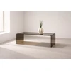 Venture Design Sofa staliukas Telemark 120x60x41 cm Rudas Stiklas