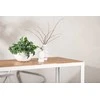 Venture Design Valgomasis stalas, BoIS, 200x100 cm, Balta