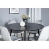 Venture Design Valgomasis stalas, Dipp, ⌀115 cm, Juodas / Valgomasis kėdė, Polar, 52x86x44 cm, Pilka