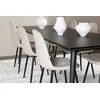 Venture Design Valgomojo komplektas Ellis valgomojo stalas su Polar valgomojo kėde 230x85 cm juodas