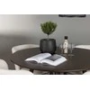 Venture Design Valgomojo komplektas Kaseidon valgomojo stalas ir Edina valgomojo kėdė 100x100 cm ruda ir balta