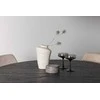 Venture Design Valgomojo komplektas Lanzo valgomojo stalas ir Night valgomojo kėdė 120 cm ruda