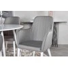 Venture Design Valgomojo komplektas Plaza apvalus stalas 100 cm baltas, komforto kėdė 2 vnt. pilka 100x100 cm