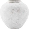 Venture Design Vaza, Žemėlapį, 25 cm, Beždžiovyra