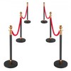 Vevor Stulpelių rinkinys, 6 dalių minios kontrolės barjeras, 320x945 mm, juoda, nerūdijantis plienas