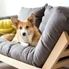 WOODMAN Sofa-lova, Allegro, 170x83 cm, Uosis