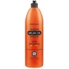 Chantal PROSALON ARGAN OIL plaukų šampūnas, 1000 g