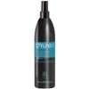 RR LINE STYLING PRO VOLUME CREATOR plaukų purškiklis, 250 ml