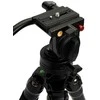 Celestron Regal tripod