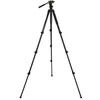 Celestron Regal tripod