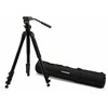 Celestron Regal tripod