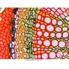 Deltaoptical Mikroskopas Genetic Pro T su akumuliatoriais