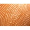 Mikroskopas Deltaoptical Binokuliarinė lupa Discovery 90