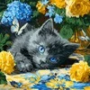 Ideyka Painting by numbers 40 x 40 cm KHO6795 Mėlyna-eyed kitten AP0098