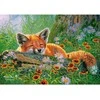 Castorland Dėlionė 500 vnt. - Mieganti lapė