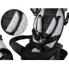 Jokomisiada Vaikiškas triratis dviratis „Tiny Bike 3in1“ su stogu ROTATABLE SP0650
