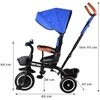 Tiny Bike Vaikų trijų ratų dviračių mažas dviratis 3in1 su stogu pasuktu SP0650