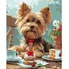 Ideyka Painting by numbers 40x50 cm KHO6629 Afternoon tea with a Yorkie AP0114