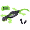 Jokomisiada Remote Control Gecko Lizard – Drives on the Floor and Climbs Walls RC0753