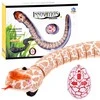 Jokomisiada NUOTOLINIO VALDYMO ŽARNA RC0189