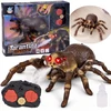 Jokomisiada Remote-controlled TARANTULA spider - steam function RC0784