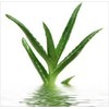 Lovely Lovers Aloe Vera Vanduo-Based Soothing Intimate Gel 150ml