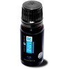 Lovely Lovers BeMine Pure Fragrance Man Odorless Pheromone Concentrate 10ml
