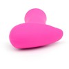Lovense Ambi