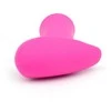 Lovense Ambi