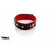 Whips Collections Moteriška apykaklė, natūrali oda, botagiški botagai