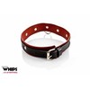 Whips Collections Bdsm apykaklė moterims, natūralios odos baudžiava
